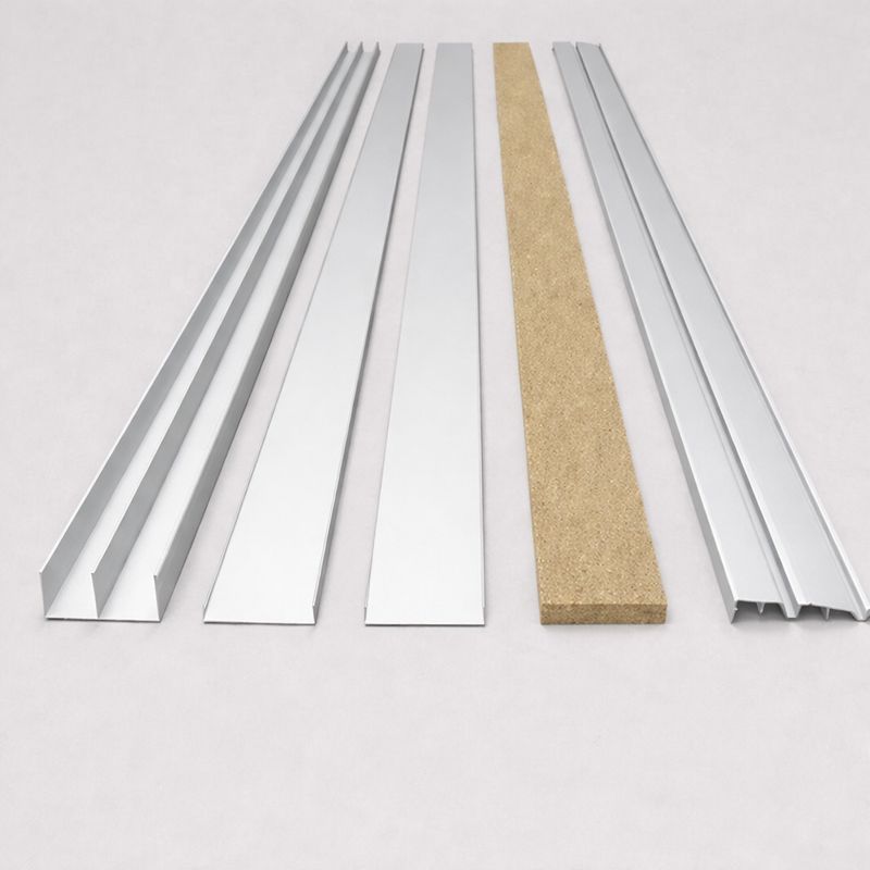 Matt Silver Track System